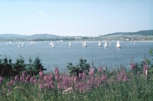 Bostalsee.jpg
