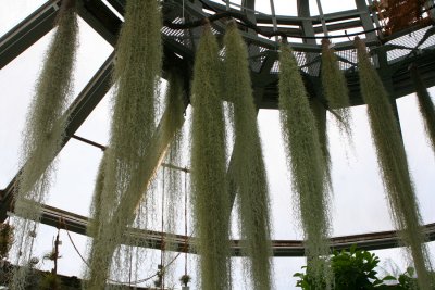 IMG_9942.jpg
