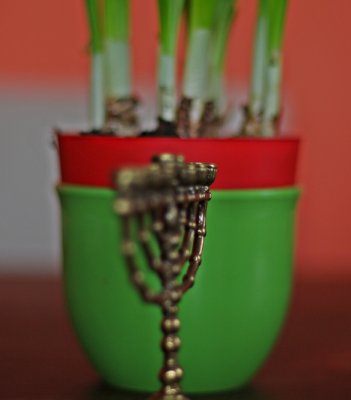 50-1.7_3-crop.JPG