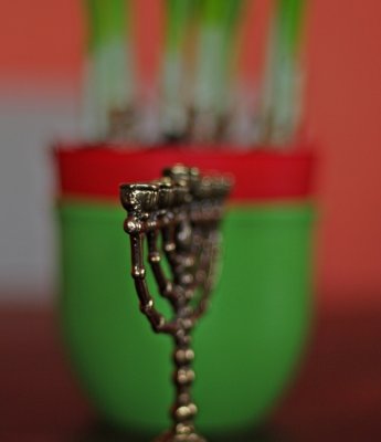 50-1.7_1-crop.JPG