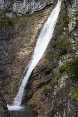 IMG_6318.jpg