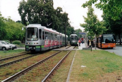 Busse.jpg