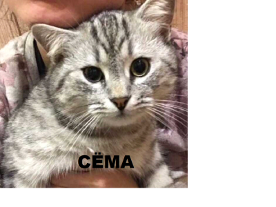 Фото_Сема.png